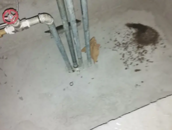 洪洞卫生间测漏水价格明细